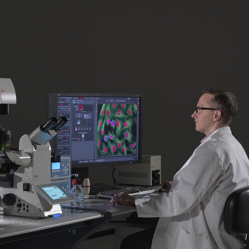Software di immagine - LAS X Life Science - Leica Microsystems GmbH - per microscopio / Windows