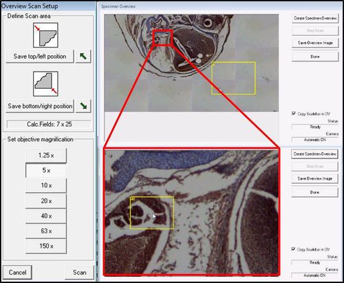 Software da laboratorio - LMD Software - Leica Microsystems GmbH - per microscopio
