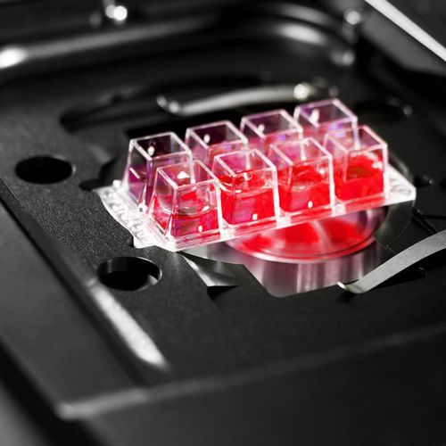 Software per microscopia - HCS A - Leica Microsystems GmbH