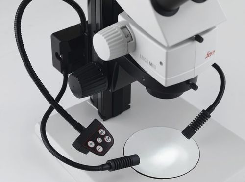 Lampada portatile LED - LED3000 SLI - Leica Microsystems GmbH - flessibile / a collo di cigno