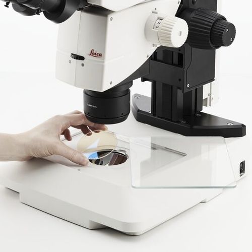 Dispositivo di illuminazione LED - TL3000 Ergo, TL5000 Ergo - Leica Microsystems GmbH