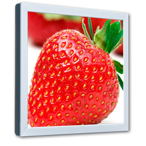 Monitor LCD - SL-Line 19" - Data Display GmbH - TFT / 19" / 1280 x 1024