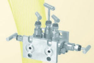 Manifold a 5 vie - 5VEE6 - Expert Engineering - con flangia / per la strumentazione