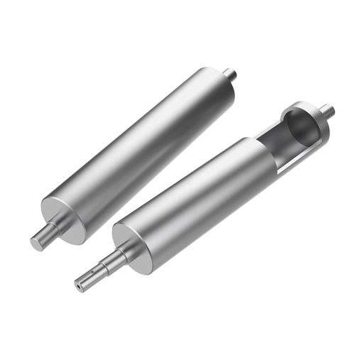 Rullo trasportatore in acciaio inossidabile - BP-D Series - DAMON Industrial Europe Srl - per carichi pesanti