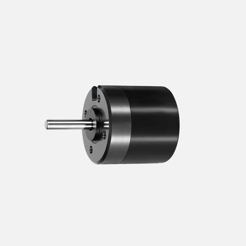Motore brushless - BF6862 - Vishan Motor - DC / BLCD / 24 V