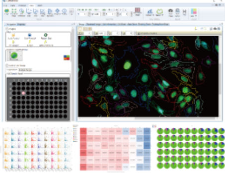 Software di analisi - CellPathfinder - YOKOGAWA Europe - di interfaccia / per reportistica / di creazione