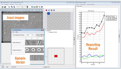 Software di analisi - CellActivision - YOKOGAWA Europe - di analisi di fase / di sviluppo / di immagine