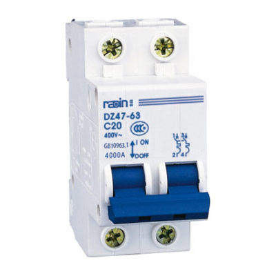 Interruttore magnetotermico - DZ47-63 series - Radin Electric Technology Co., lTD - AC / per sovraccarichi / 3 poli