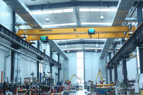 Carroponte monotrave - 00024 - Eurocrane(China)Co.,Ltd - leggero / profilato in acciaio