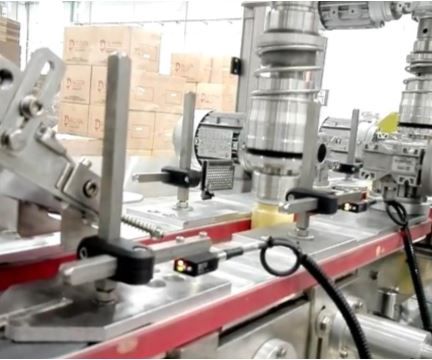 Tappatrice avvitatrice lineare - Sapli - rotativa / automatica / per prodotti fitosanitari