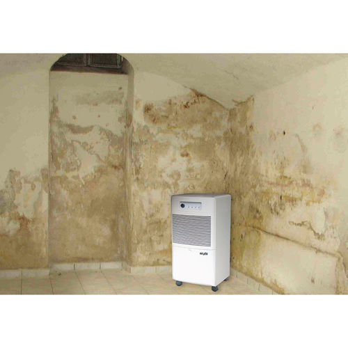Deumidificatore refrigerante - DT 650 - Dantherm Group A/S - d'aria / da incasso / mobile