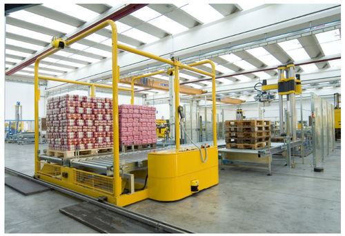 Sistema di carico e scarico per applicazioni di taglio - RGV - Euroimpianti - Skilled - per movimentazione / per pallet / per camion