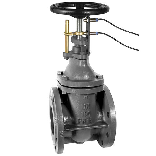 Valvola a saracinesca - MP 125NPROX - MARAN E PERACINI - a leva / con volante / elettrica