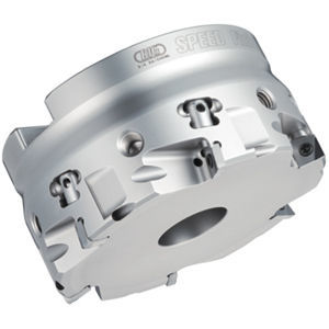 Fresa a riccio - FM series - BIG KAISER Precision Tooling Inc. - a inserti / a spianare / per ghisa