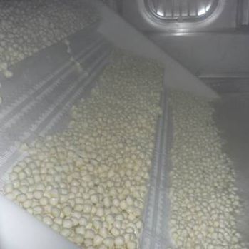 Mini caseificio - Mozzarella pearls - Almac S.r.l.
