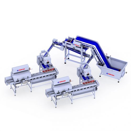 Alimentatore a nastro - PERUZA limited liability company - per pesce / automatico
