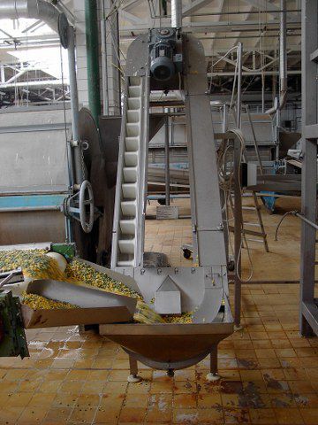 Elevatore a tazze a nastro - Sweere - Food Processing Equipment BV - per prodotti sfusi / per trasportatore