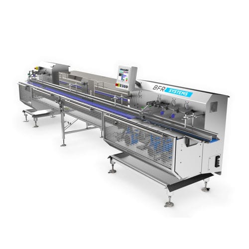 Trasportatore a nastro - BFR Systems - ad accumulo / automatico / per carne