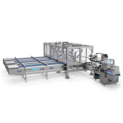 Robot delta - BFR Systems - di carico / per l'industria agroalimentare