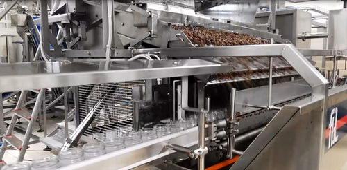 Macchina di riempimento scatole di conserve - FL-04 - F.B.L. Food Machinery S.r.l. - per contenitori in vetro / per granuli / per alimenti