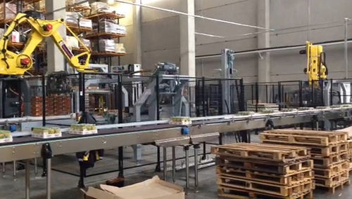 Pallettizzatore e depallettizzatore robotizzato - FL-PAL_DEPAL - F.B.L. Food Machinery S.r.l. - per pacchetti / per l'industria agroalimentare