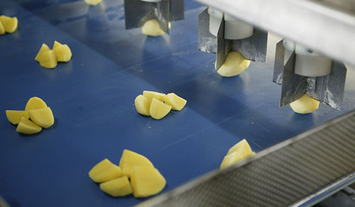Tagliaverdure per patate - Eagles eye - Finis Foodprocessing Equipment B.V.