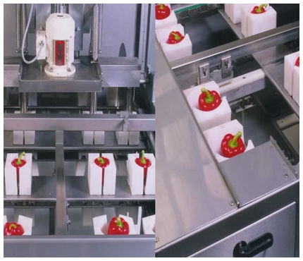 Detorsolatrice per peperoni - Finis Foodprocessing Equipment B.V.