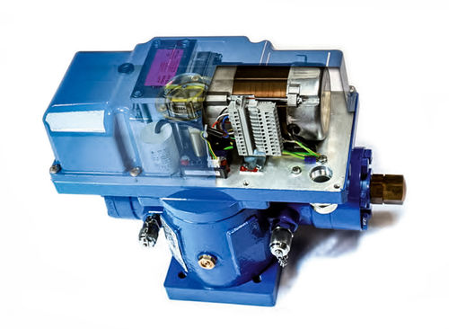 Attuatore elettroidraulico - EHS-D3 - Pleiger Maschinenbau GmbH & Co. KG - rotativo / a doppio effetto / ISO