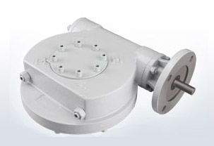 Riduttore a vite senza fine - XW series - Zhejiang XBURS Measurement & Control Technology Co., Ltd. - ad assi paralleli / > 10 kNm / manuale
