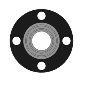 Guarnizione PTFE - 1250 series - Phelps Industrial Products LLC - in EPDM / BS / montata su flangia
