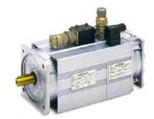 Servomotore asincrono - QCAVS/QCAVP Sincrovert® - OEMER - AC