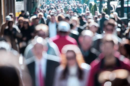Software di gestione - DERMALOG Identification Systems GmbH - di regolazione / di formulazione / automatizzato