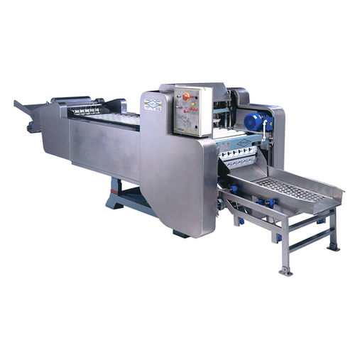 Denocciolatore per frutta - K7-2000 - O.M.I.P.  Food Processing Machinery