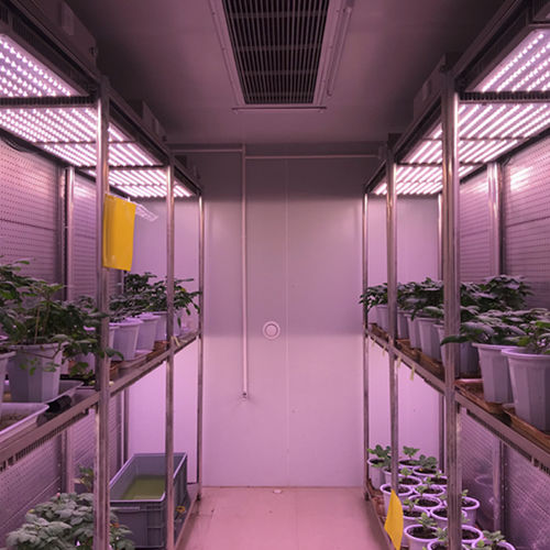 Camera per test di temperatura - WIPGC-01 - Fujian Jiupo Biotechnology Co., Ltd. - di umidità / verticale / in acciaio inossidabile