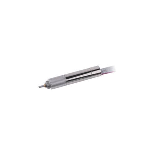 Motore DC - 10ZYCC25P-EK256-1 - Jiangsu DINGS' Intelligent Control Technology - a spazzola / 12 V / senza nucleo