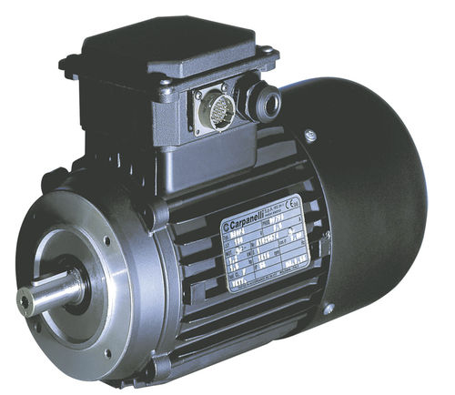 Servomotore asincrono - MVS series - Carpanelli - AC