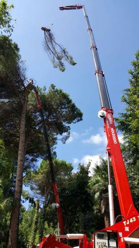 Mini gru cingolato - XTJ 43+ - Palazzani industrie S.p.A. - telescopico / per cantiere