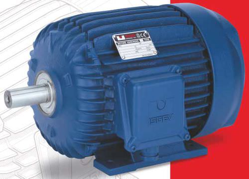 Motore asincrono - ISGEV - AC / trifase / 80 V