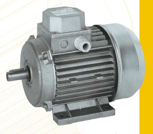 Motore asincrono - AL series - ISGEV - AC / trifase / 60 V