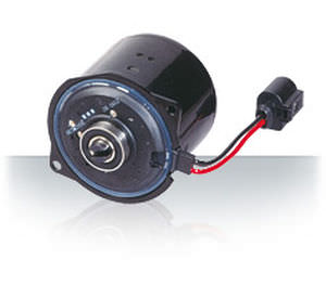 Motore sincrono - EVP - NIDEC MOTORS & ACTUATORS - DC / 110 V / 4 poli