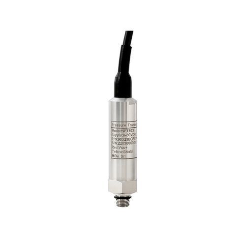Trasmettitore di livello piezoresistivo - HPT603  - Holykell - per olio / per carburante / 2 cavi