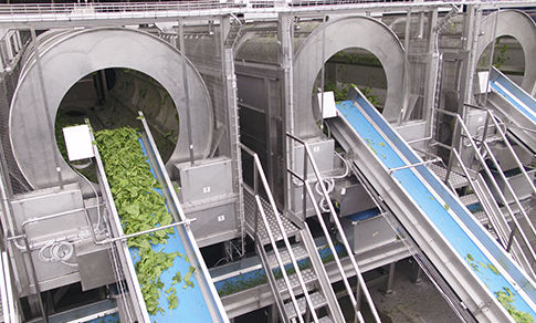 Lavatrice agroalimentare per frutta - Ing.A.Rossi - per verdura