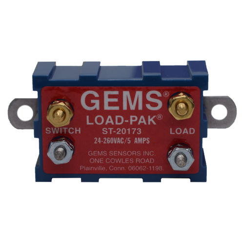Relè programmabile compatto - 20173 - GEMS SENSORS & CONTROLS - integrato / uscite analogiche / uscite relè