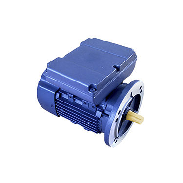 Motore asincrono - YLJ series - Gw industry - monofase / 220 V / IP55