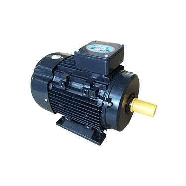 Motore ad induzione - YUJ series - Gw industry - monofase / 220 V / IP55