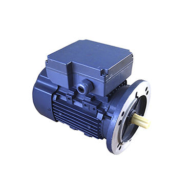 Motore ad induzione - YCJ series - Gw industry - monofase / 220 V / IP55