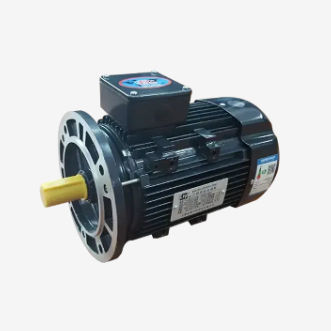 Motore ad induzione - YSJ series - Gw industry  - trifase / 380 V / 220 V