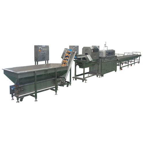 Macchina pelatrice per cipolle - P-O800 - TET Co. Ltd