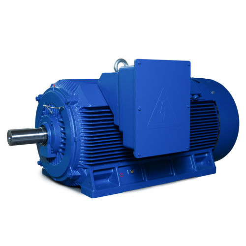 Motore ad alta potenza - Y2 Series - Shandong Sunvim Motor Co., Ltd. - asincrono / trifase / 6000 V