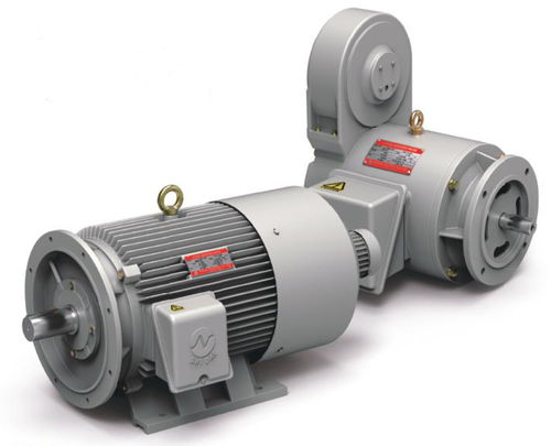 Motore ad induzione - Shidae Electric Co.,Ltd. - trifase / 4 poli / 6 poli